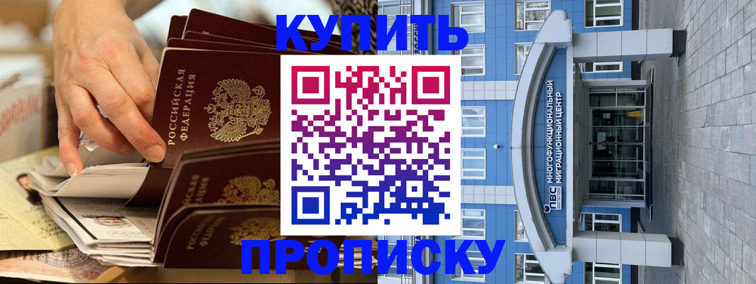 прописка гарантия в Камышлове